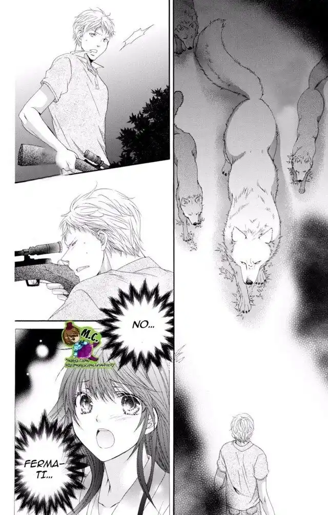 41