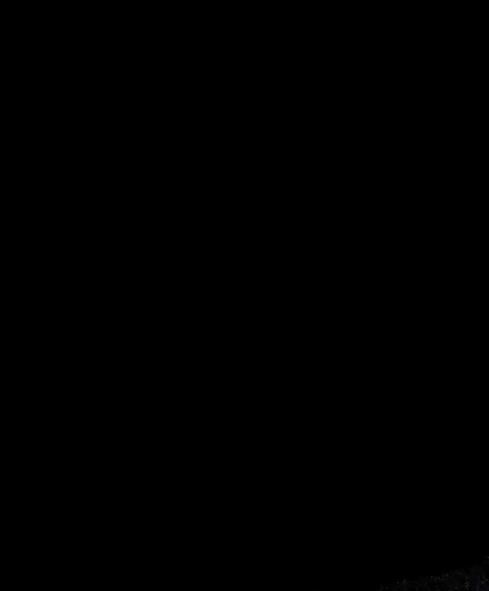 61