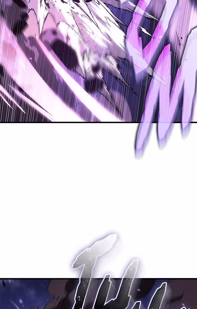 81