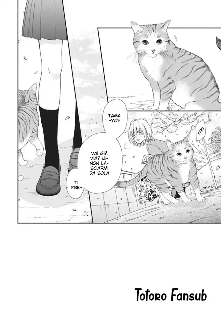 Sorairo Lemon to Mayoi Neko Capitolo 26 page 3