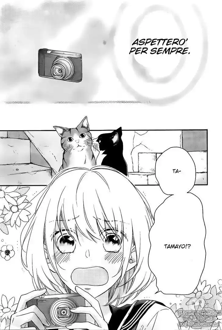 Sorairo Lemon to Mayoi Neko Capitolo 01 page 6