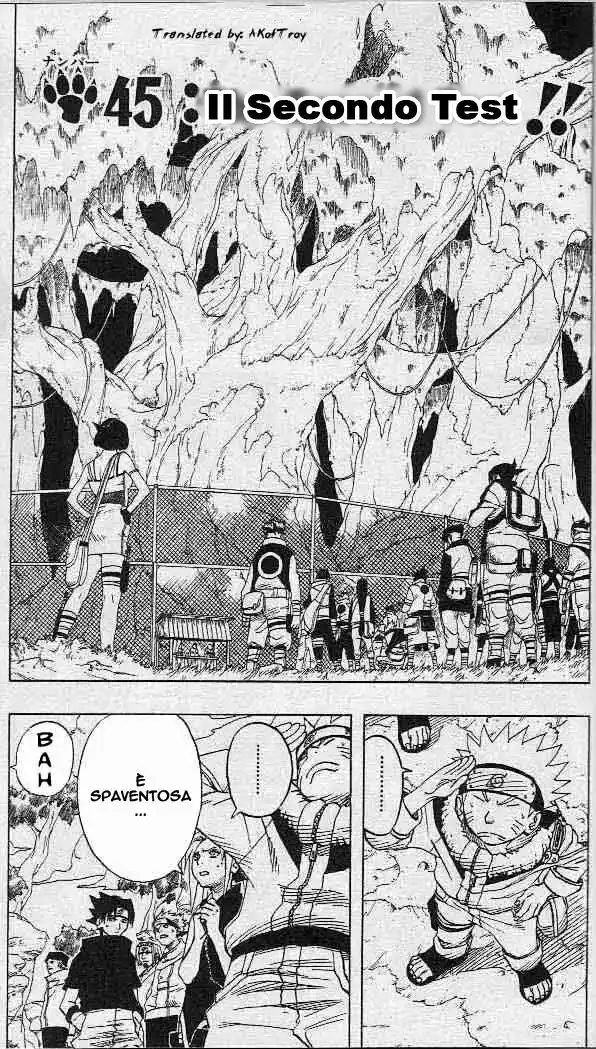 Naruto Capitolo 45 page 1