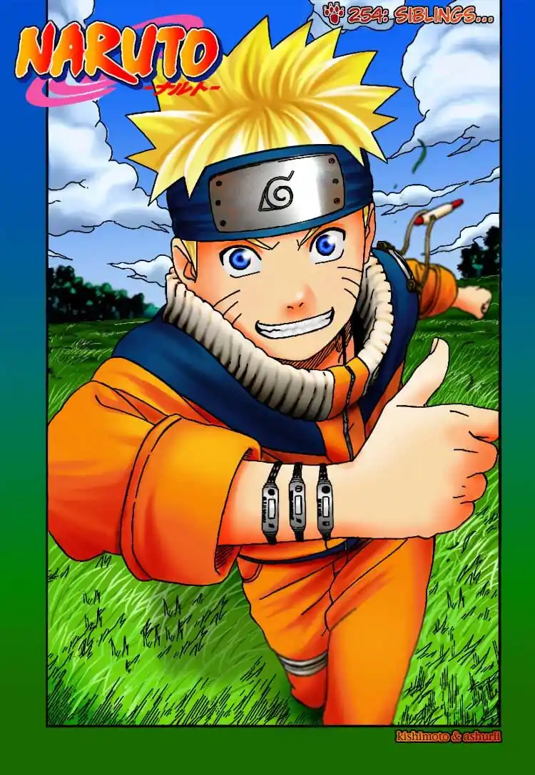 Naruto Capitolo 254 page 2