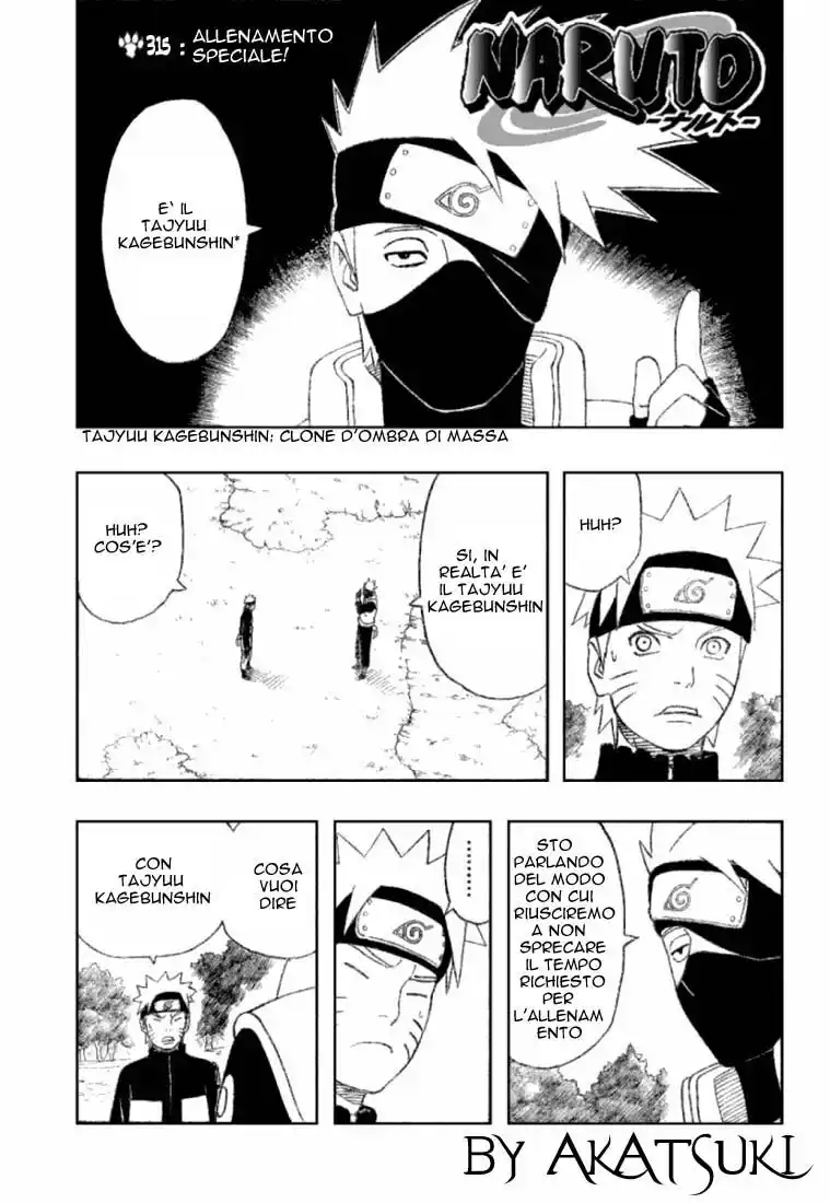 Naruto Capitolo 315 page 1