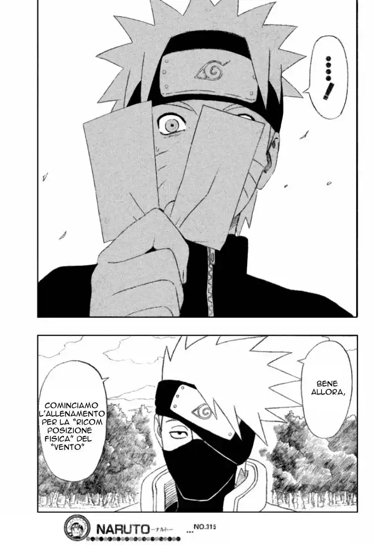 Naruto Capitolo 315 page 17