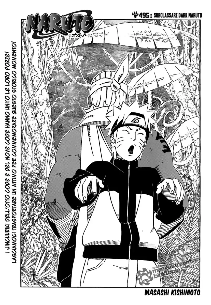 Naruto Capitolo 495 page 1