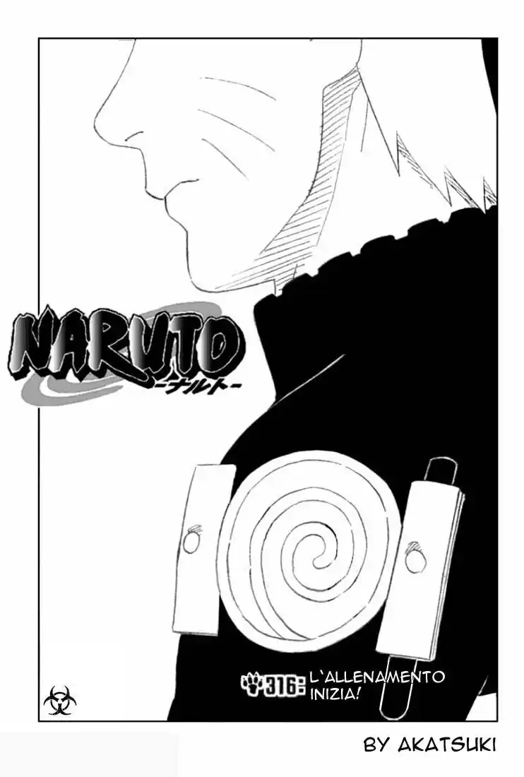 Naruto Capitolo 316 page 1