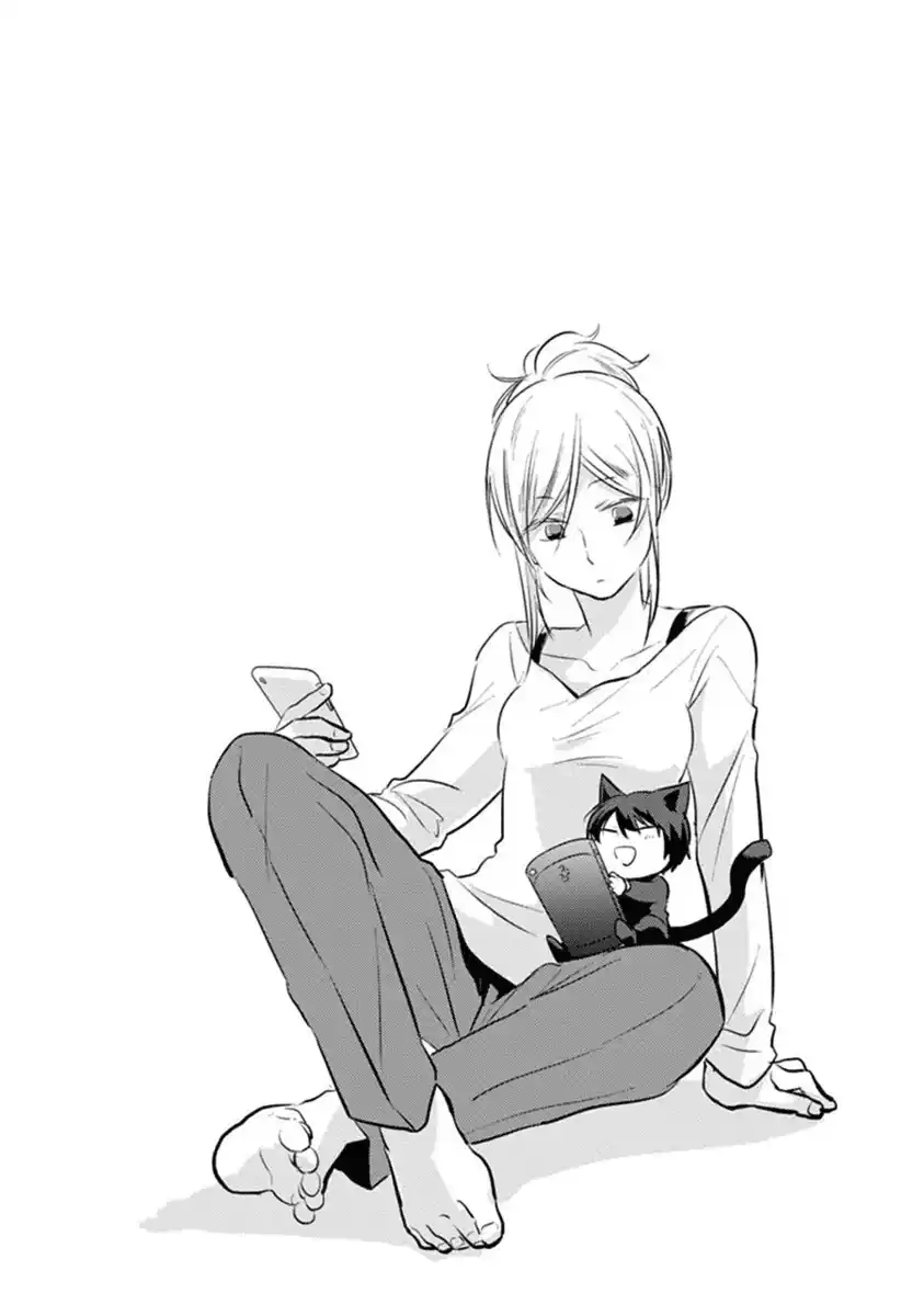 23