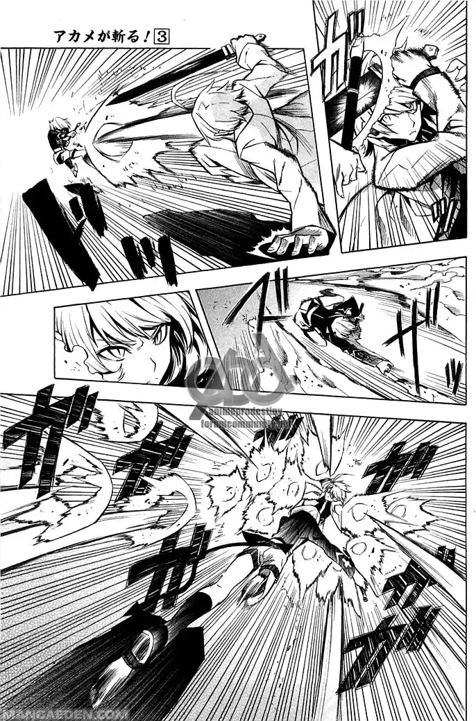 Akame ga KILL! Capitolo 13 page 12