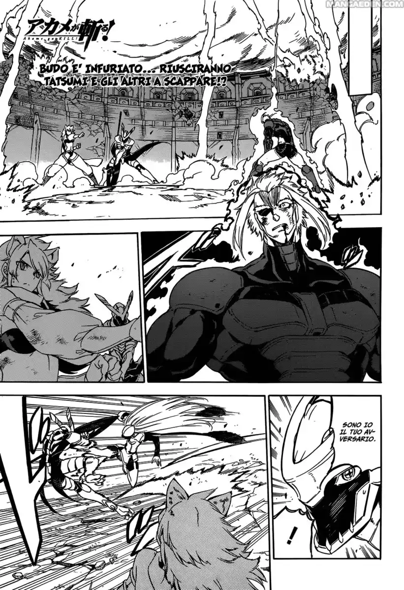 Akame ga KILL! Capitolo 56 page 2