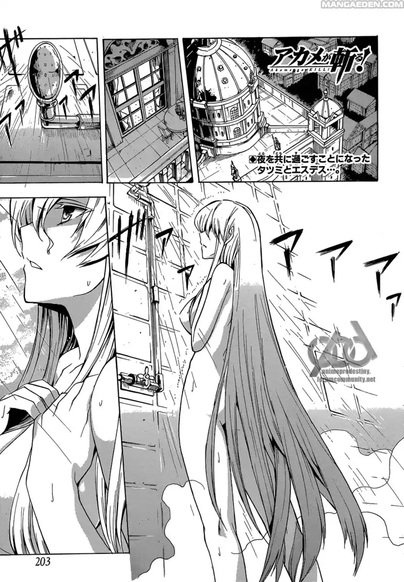 Akame ga KILL! Capitolo 18 page 2