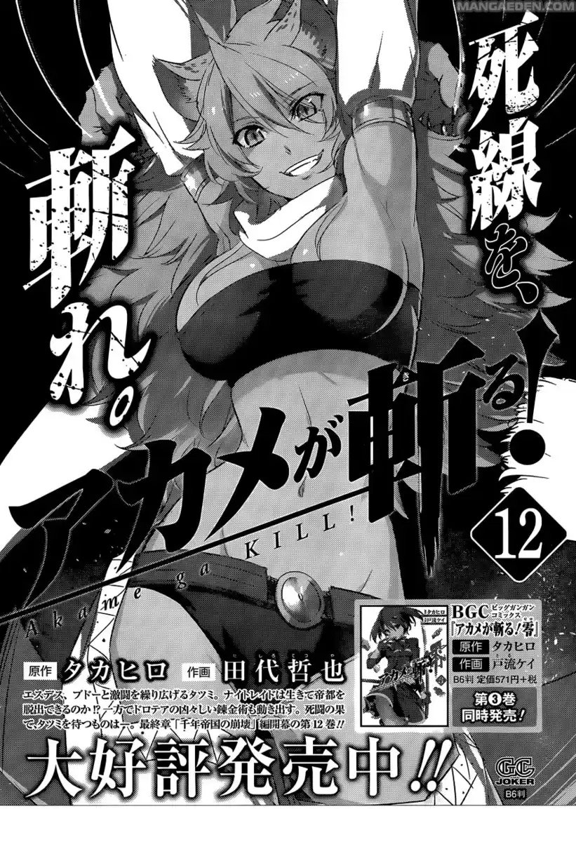 Akame ga KILL! Capitolo 62 page 50