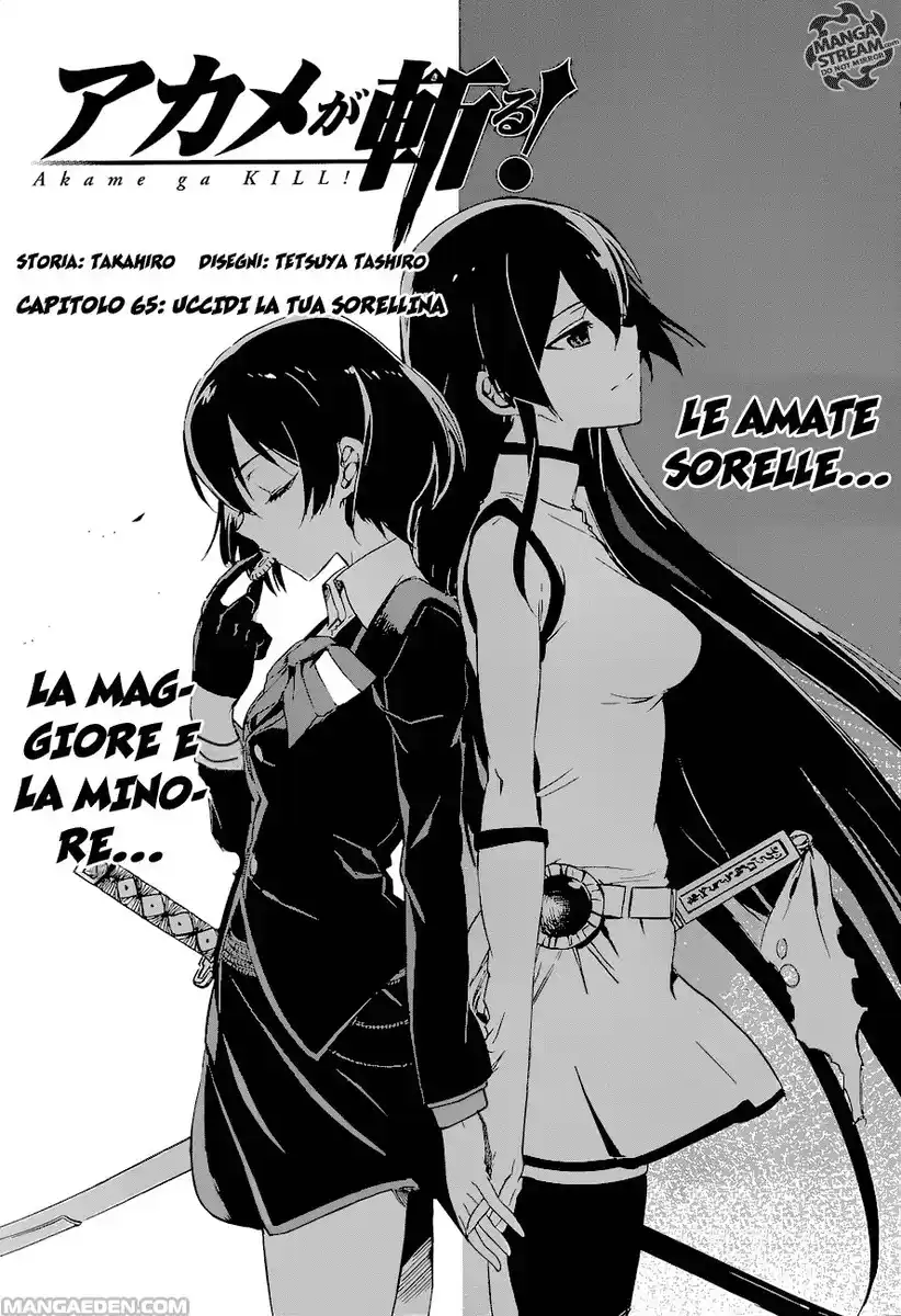 Akame ga KILL! Capitolo 65 page 4