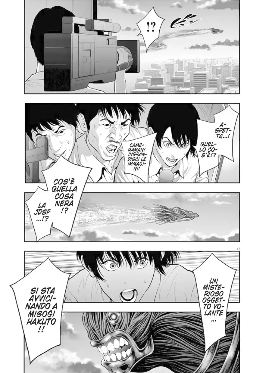 17