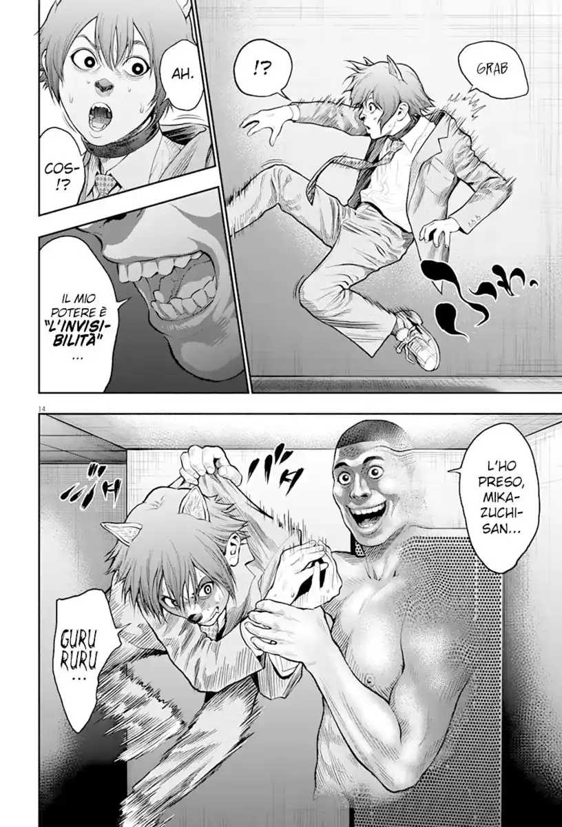 14