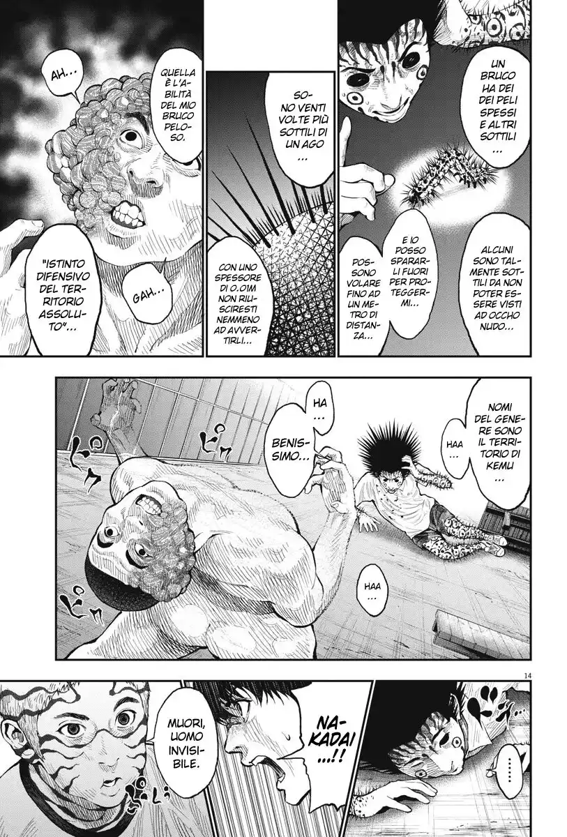14