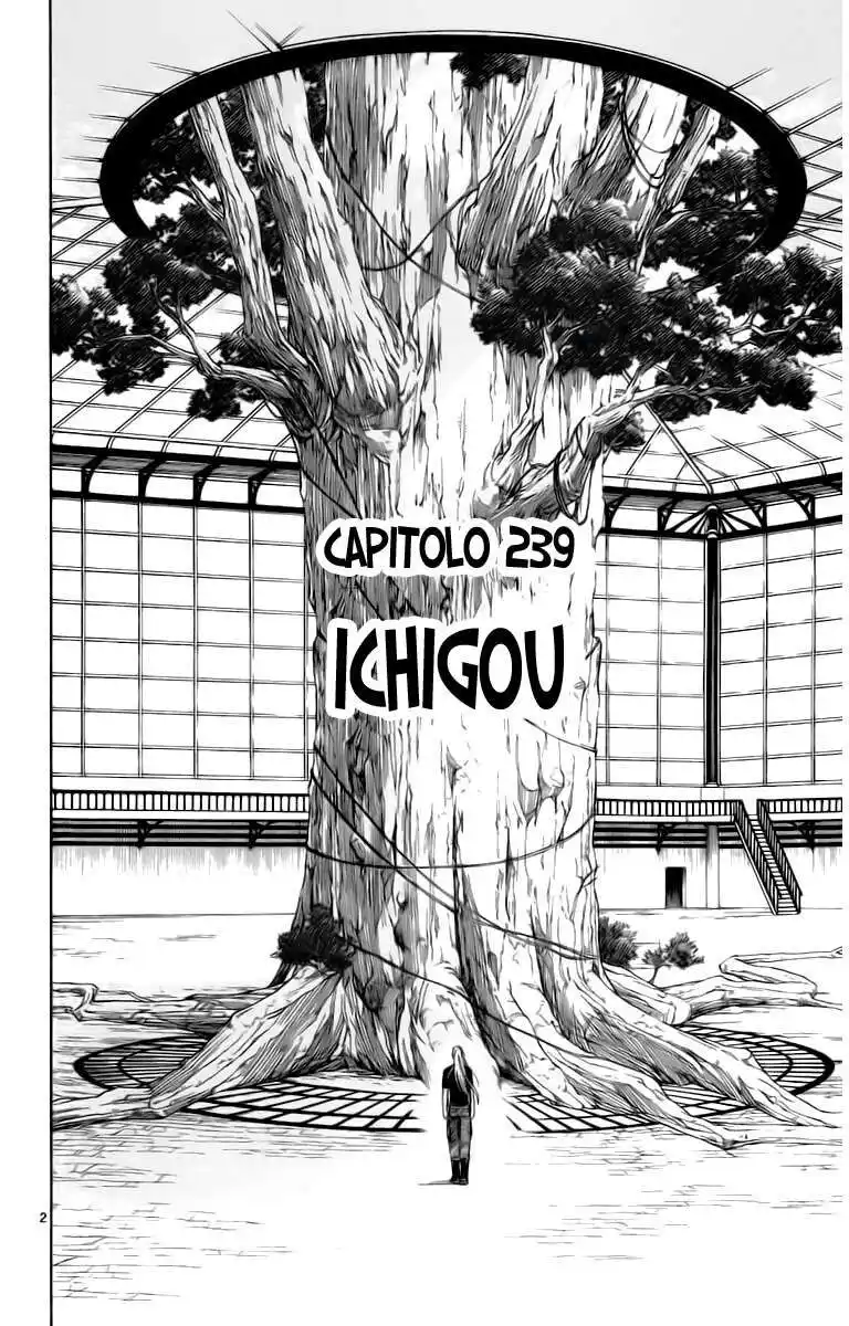 Kekkaishi Capitolo 239 page 3