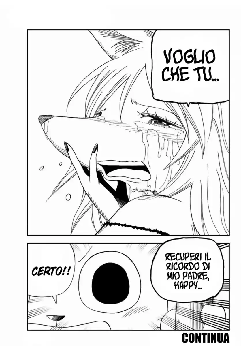 Fairy Tail: Happy Adventure Capitolo 20 page 17