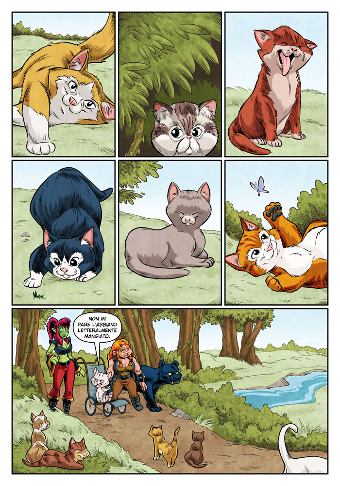 11