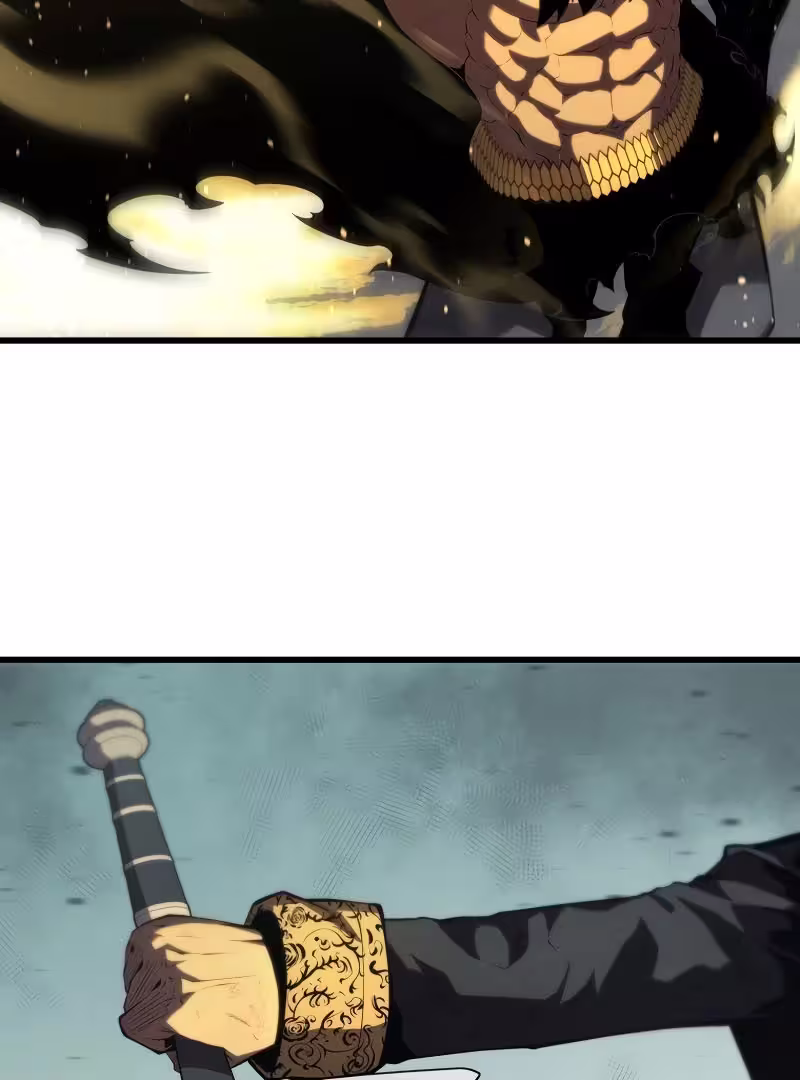 66