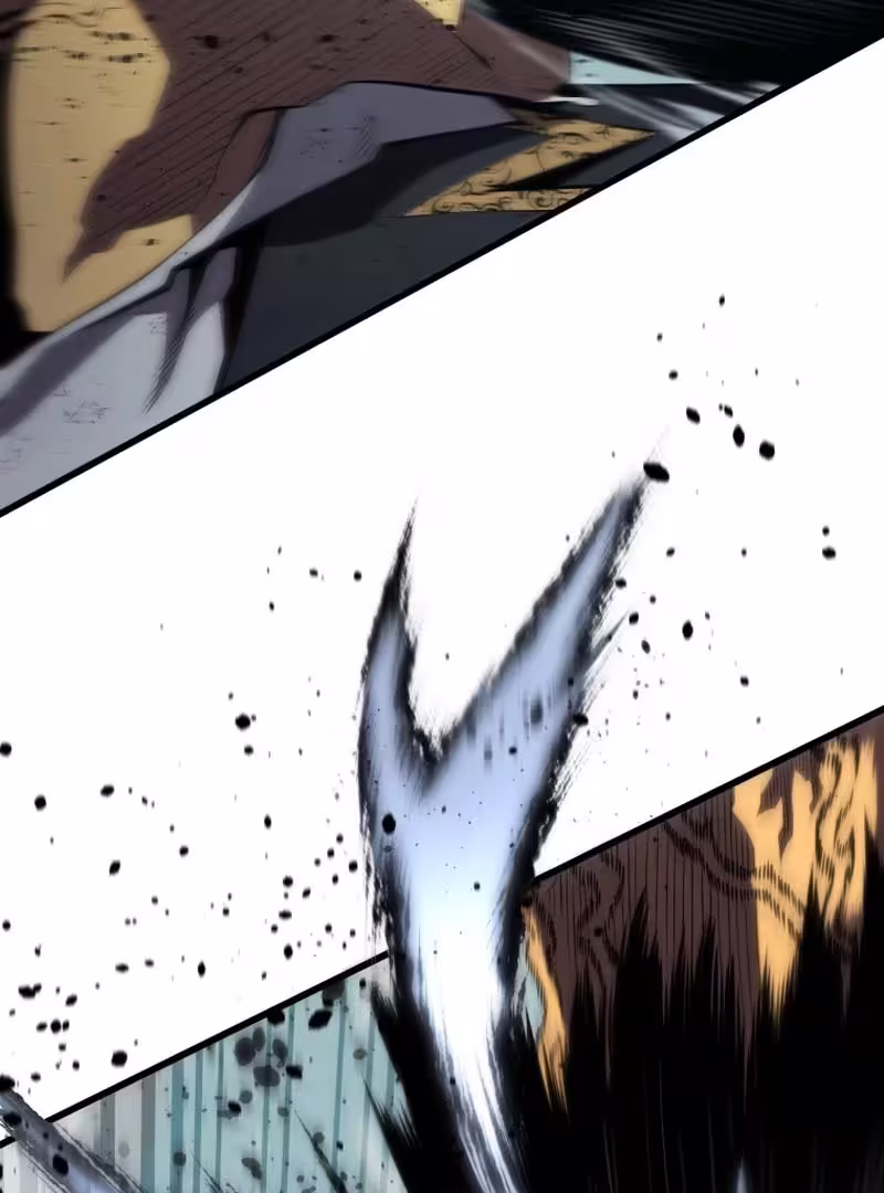 81