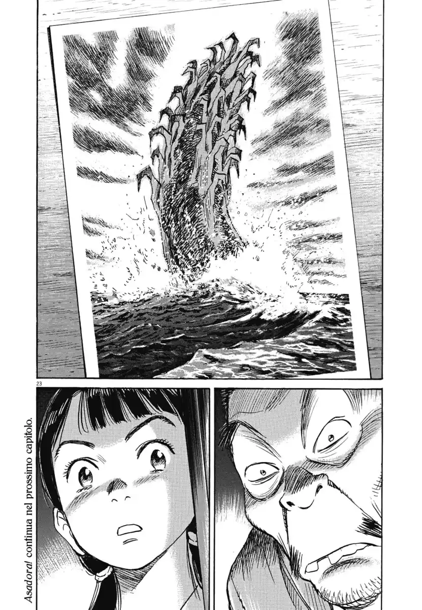 23