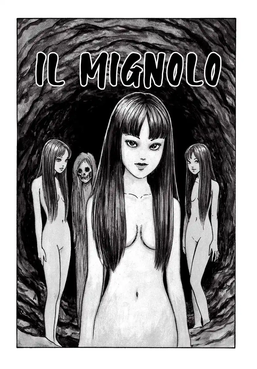 Tomie Capitolo 13 page 4