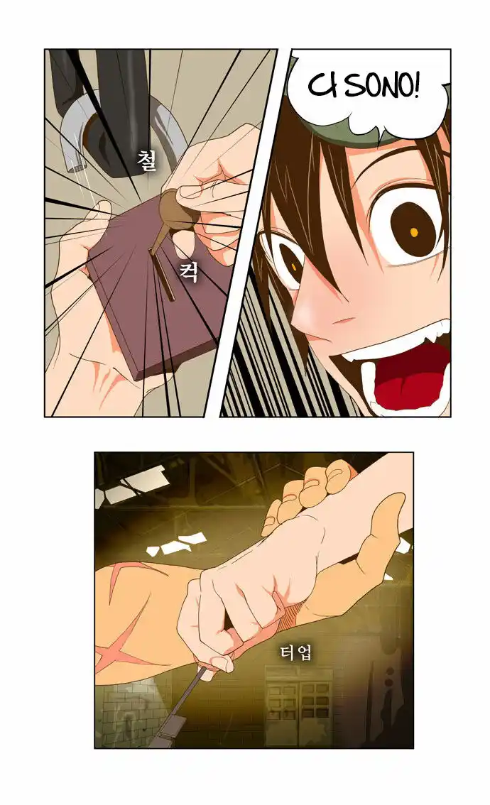 41