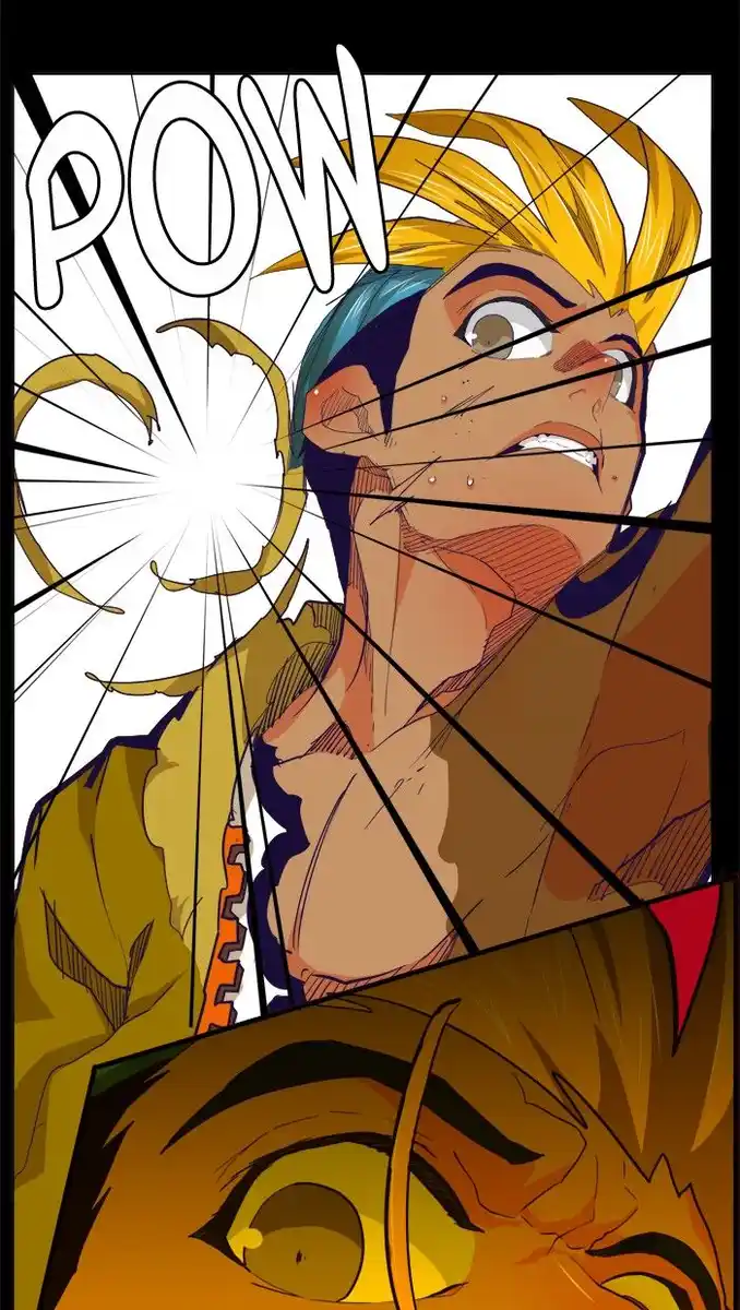 43