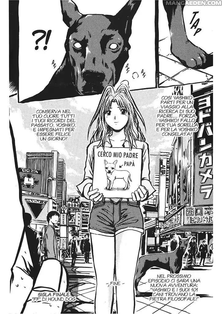 41