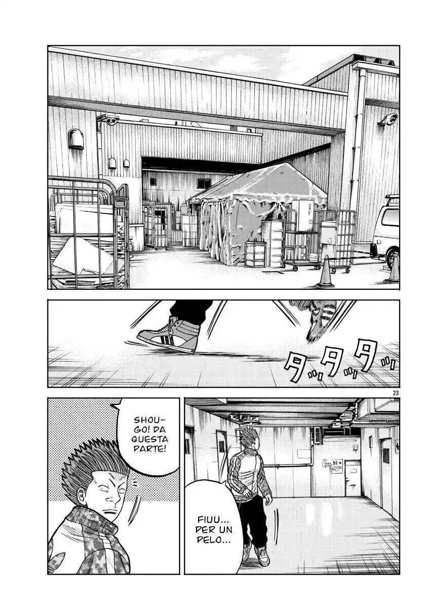 23