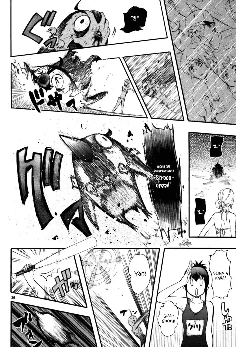 36