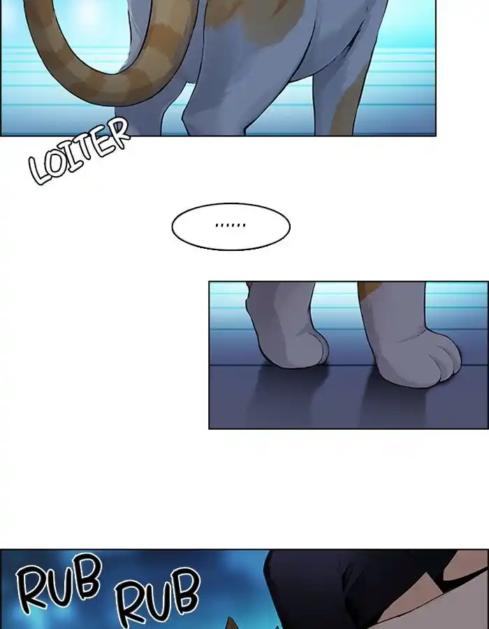 60
