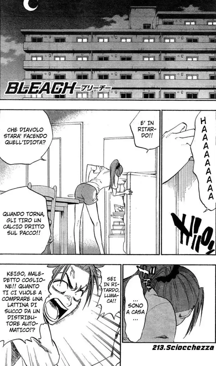 Bleach Capitolo 213 page 1
