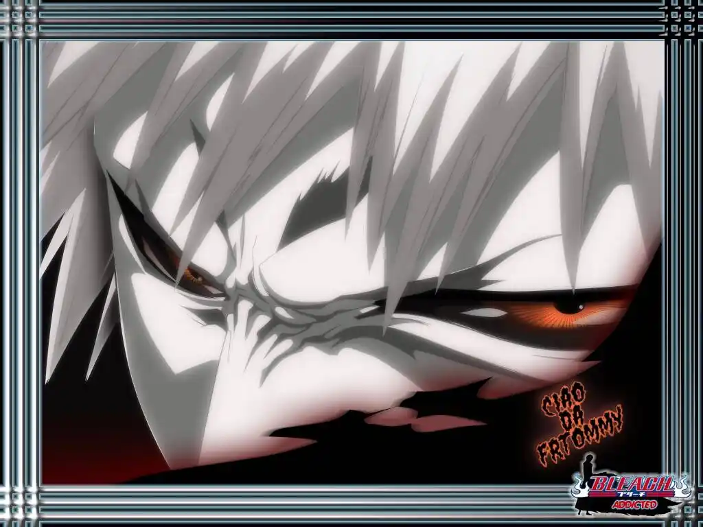 Bleach Capitolo 214 page 1