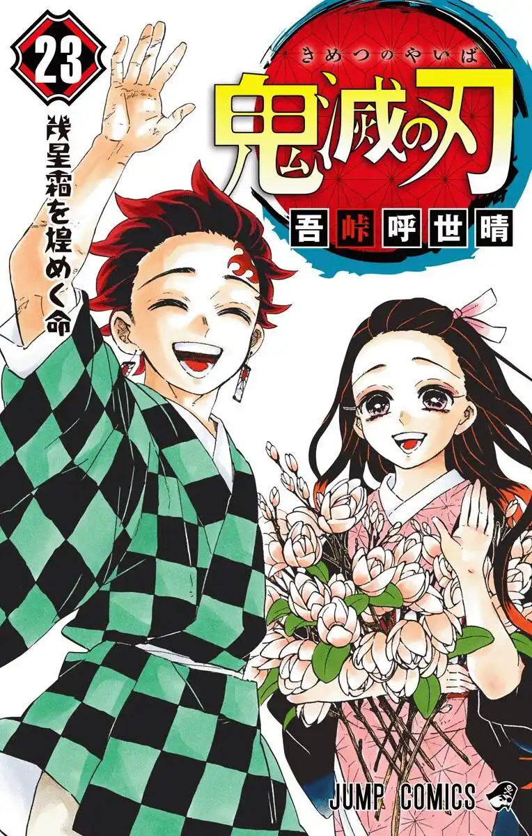 Kimetsu no Yaiba Capitolo 205.1 page 32