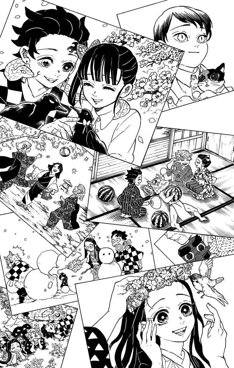 Kimetsu no Yaiba Capitolo 205.1 page 36