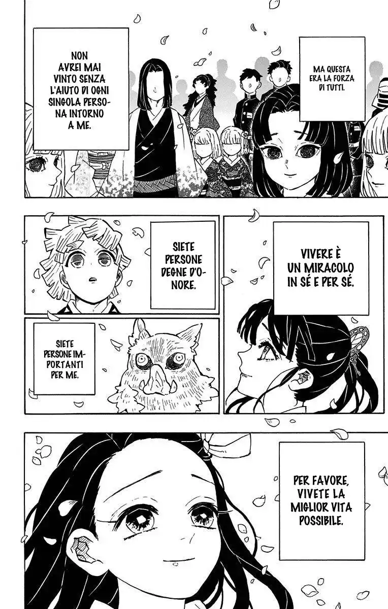 Kimetsu no Yaiba Capitolo 205.1 page 43