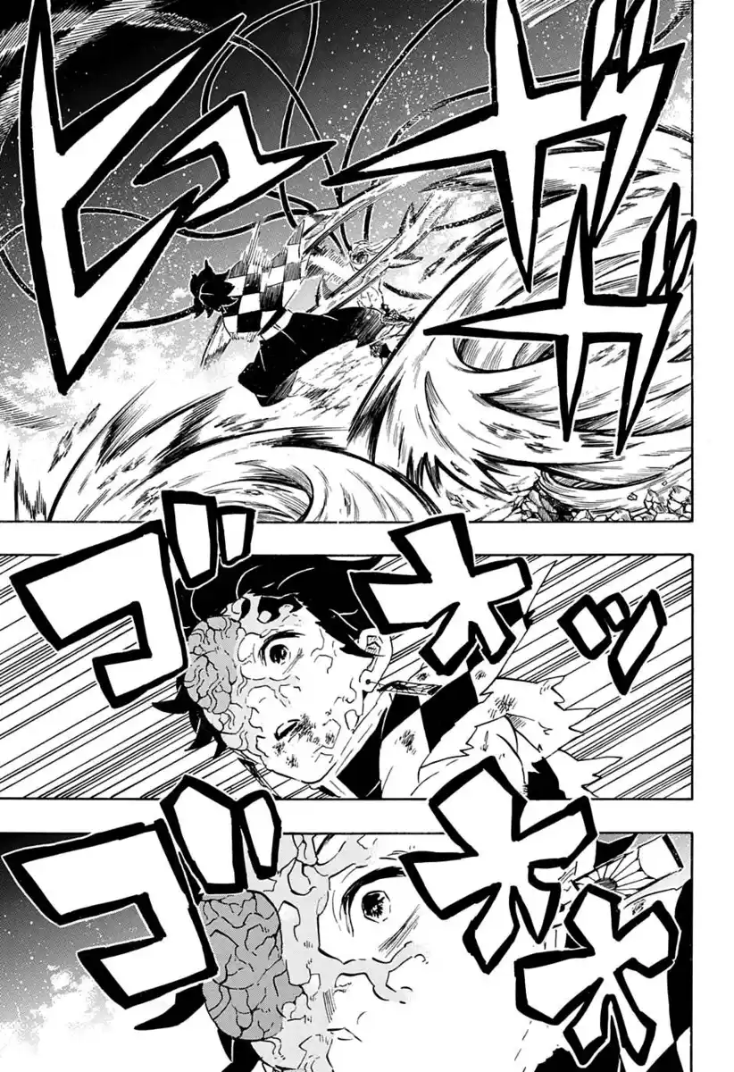 Kimetsu no Yaiba Capitolo 192 page 14