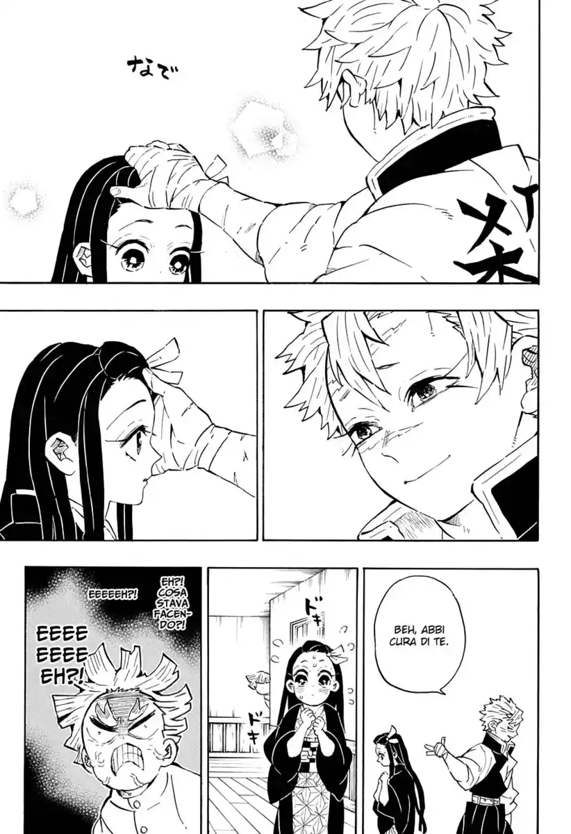 Kimetsu no Yaiba Capitolo 204.1 page 23