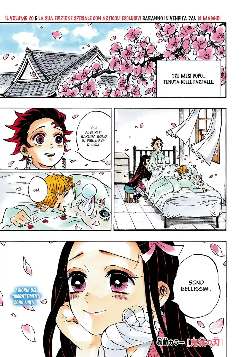 Kimetsu no Yaiba Capitolo 204.1 page 3