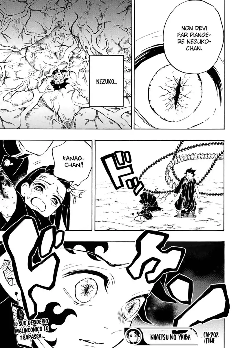 Kimetsu no Yaiba Capitolo 202 page 20