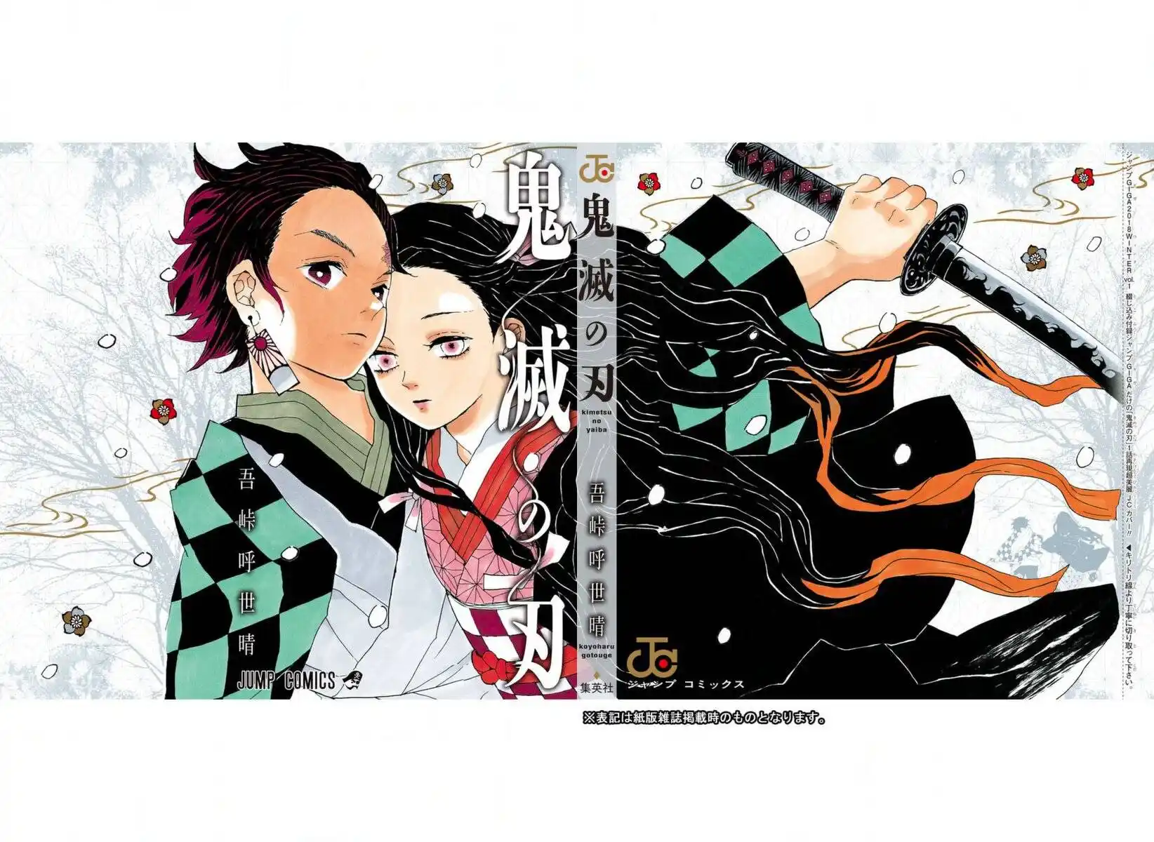 Kimetsu no Yaiba Capitolo 61.5 page 22