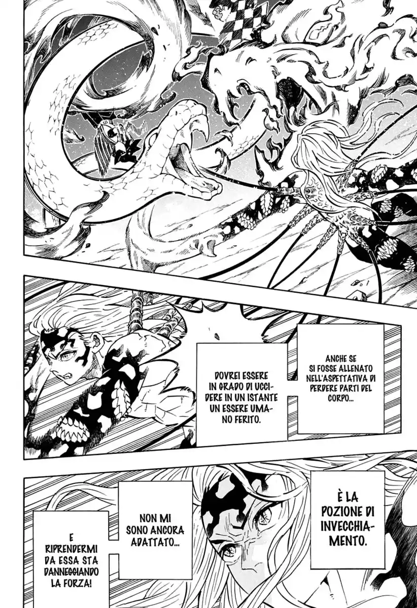 Kimetsu no Yaiba Capitolo 194 page 17