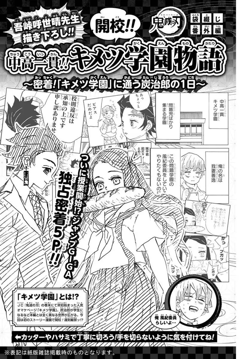 Kimetsu no Yaiba Capitolo 94.5 page 2