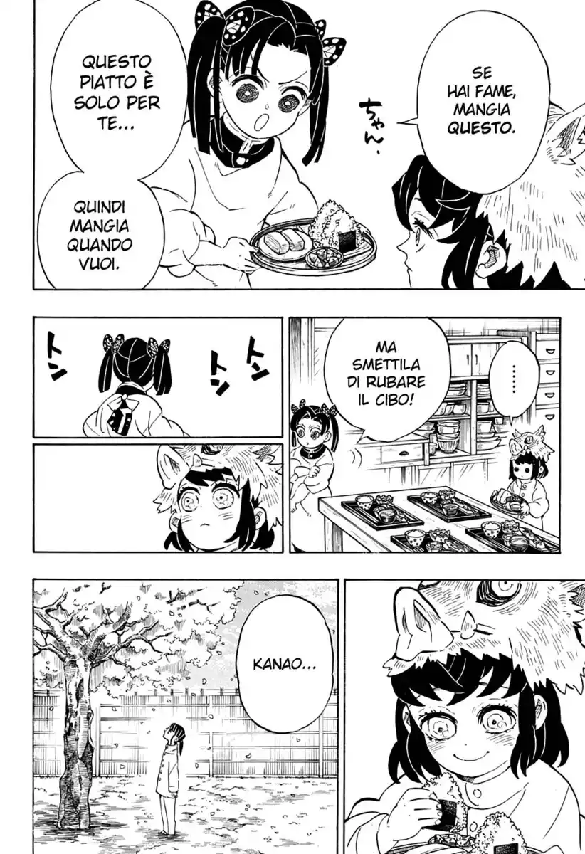 Kimetsu no Yaiba Capitolo 204 page 17