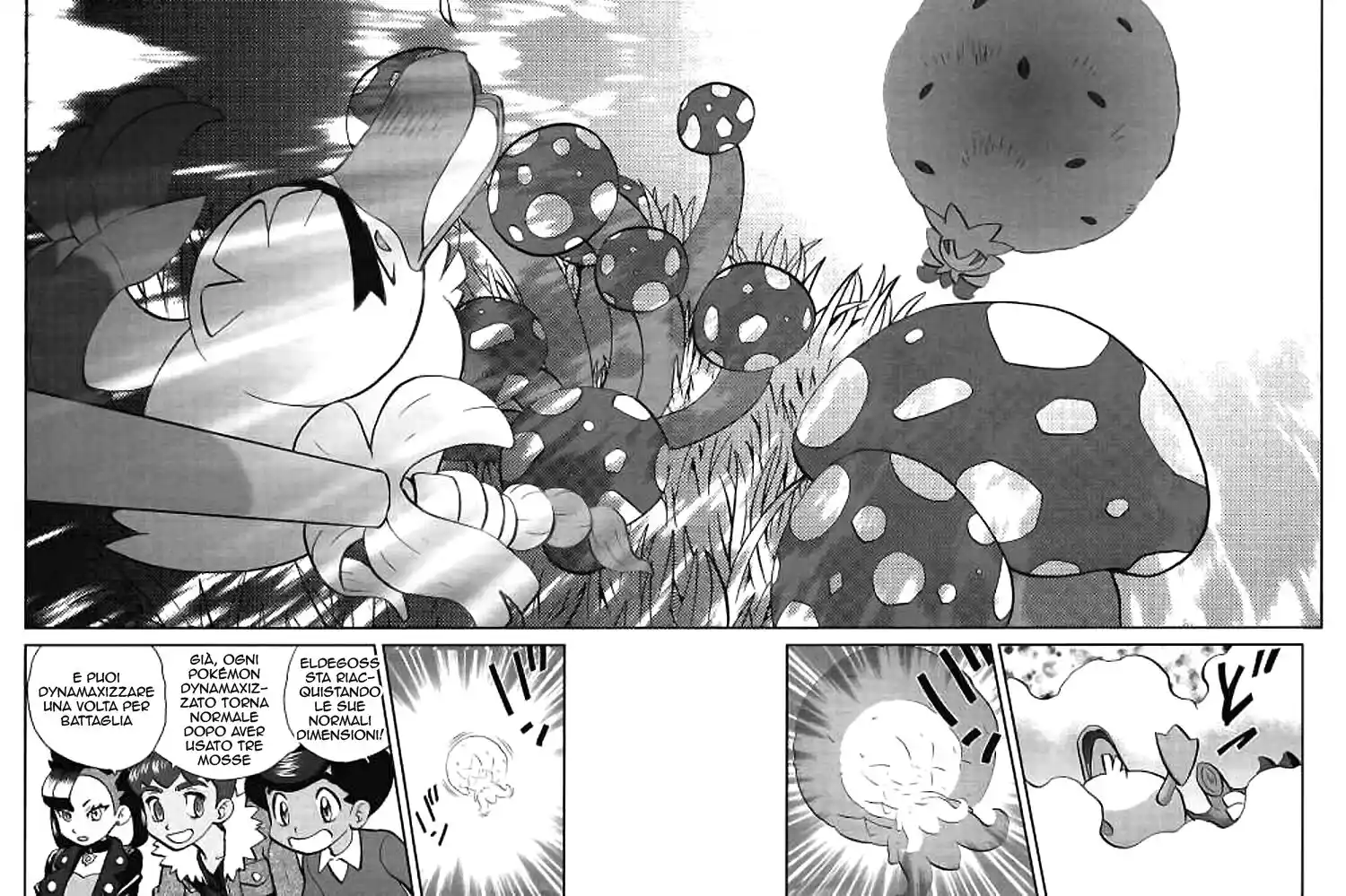 Pokémon SPECIAL Sword and Shield Capitolo 07 page 11