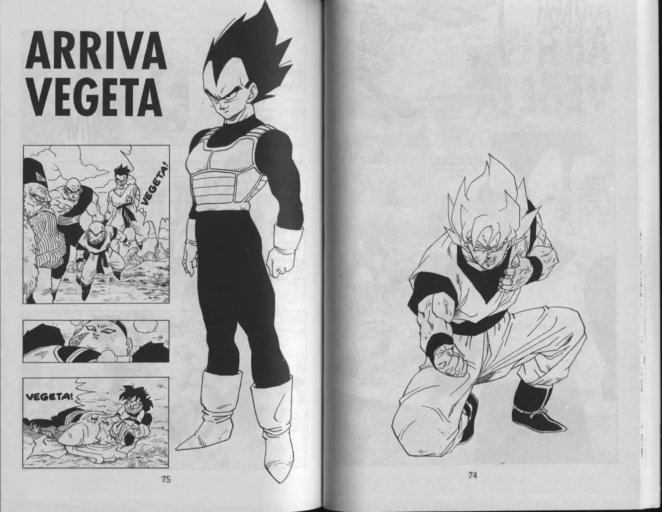 Dragon Ball Capitolo 343 page 1