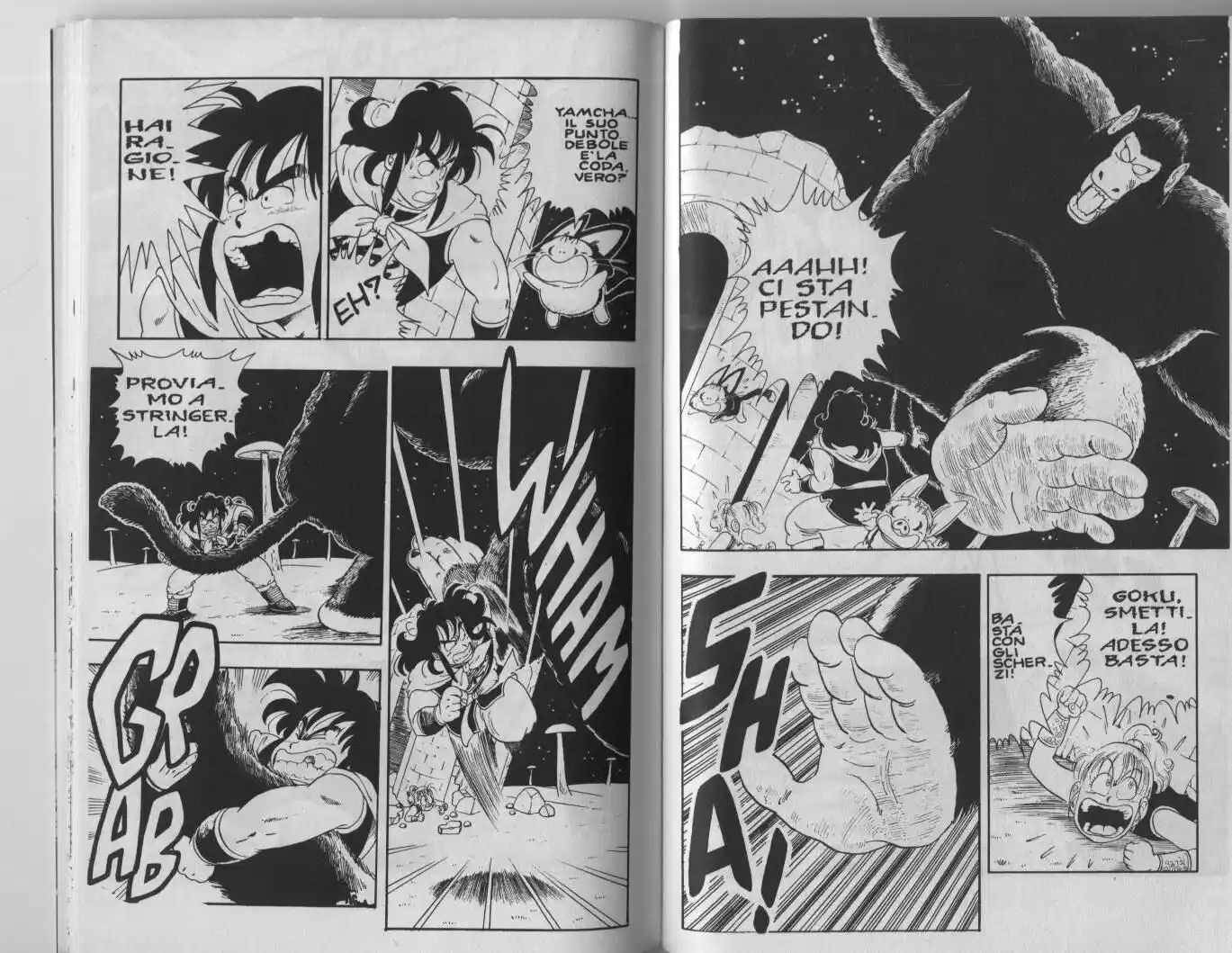 Dragon Ball Capitolo 22 page 6