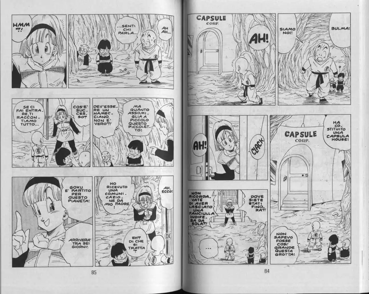 Dragon Ball Capitolo 258 page 6